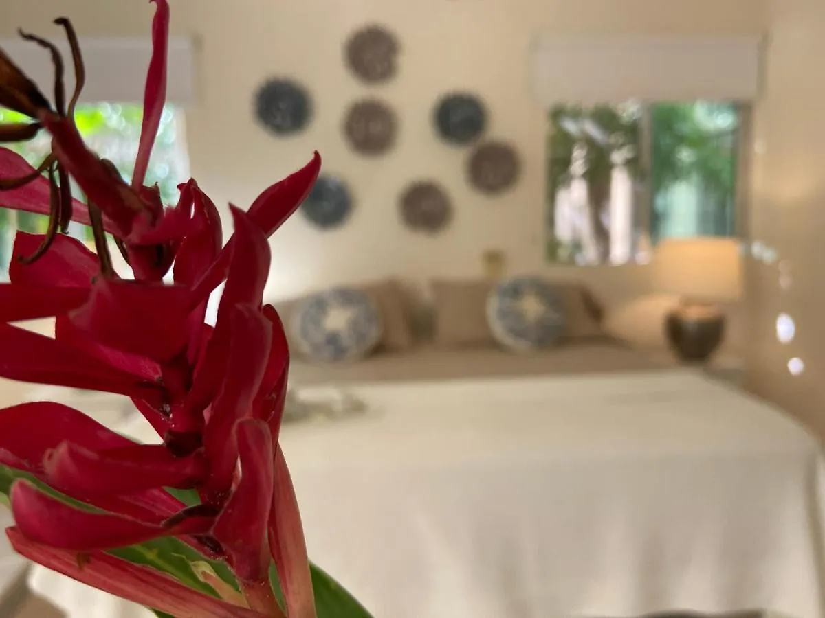 Villa Casa Marena Playa del Carmen 0*,  Messico